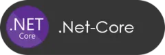 NET-Core.webp